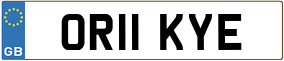 Trailer License Plate